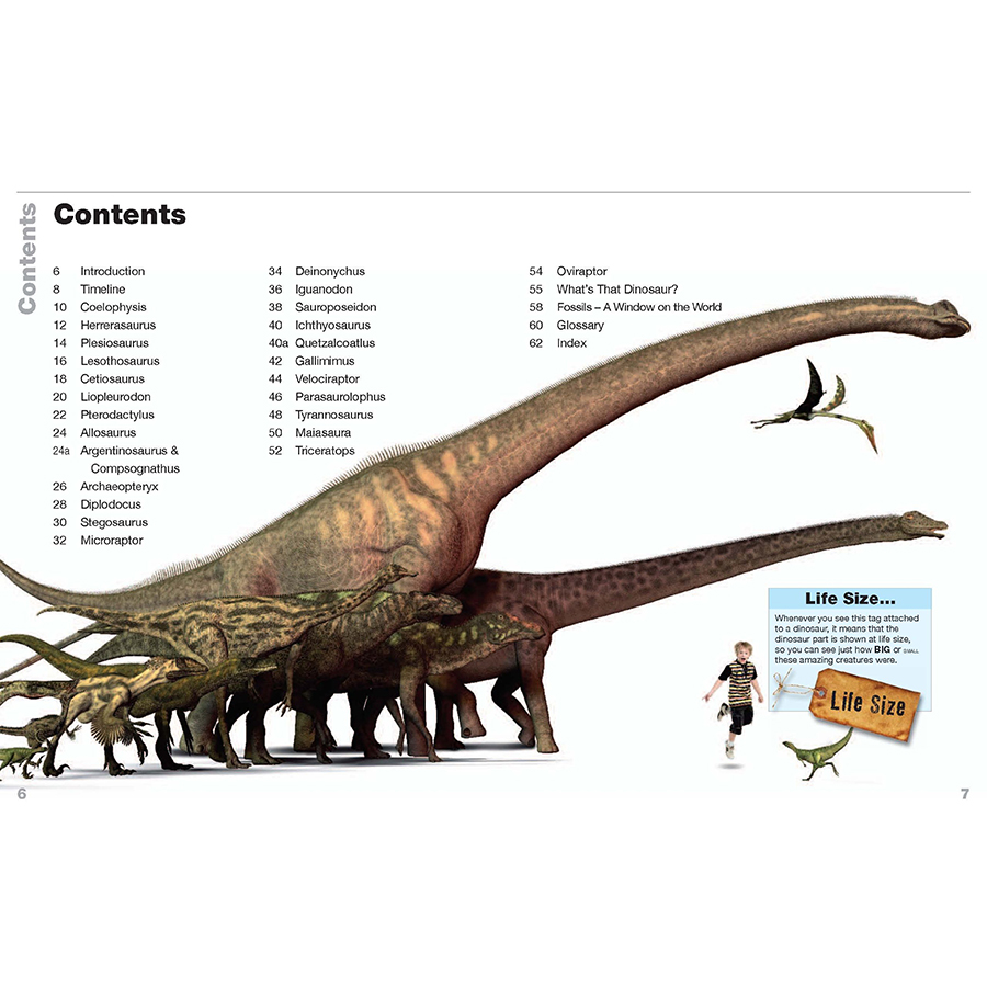 Dinosaurs Life Size: Discover How Big They Really Were