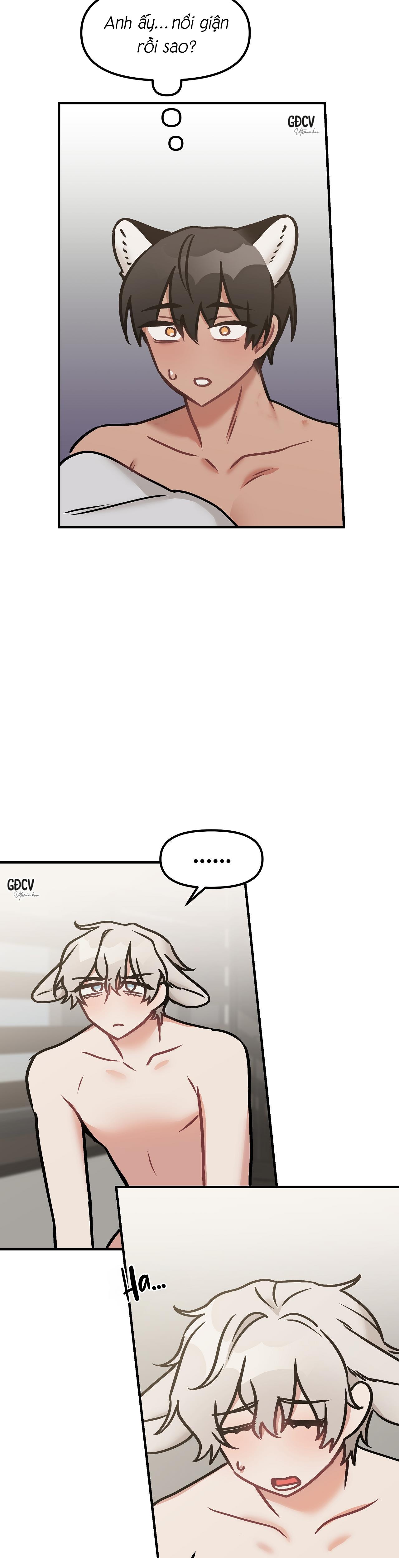 thưa ngài hổ, tôi đã ăn rất ngon miệng chapter 12 17