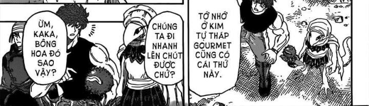 thánh tỏi sành ăn chapter 299 5