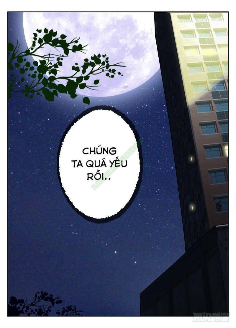 sát thủ bạch linh chapter 38 15