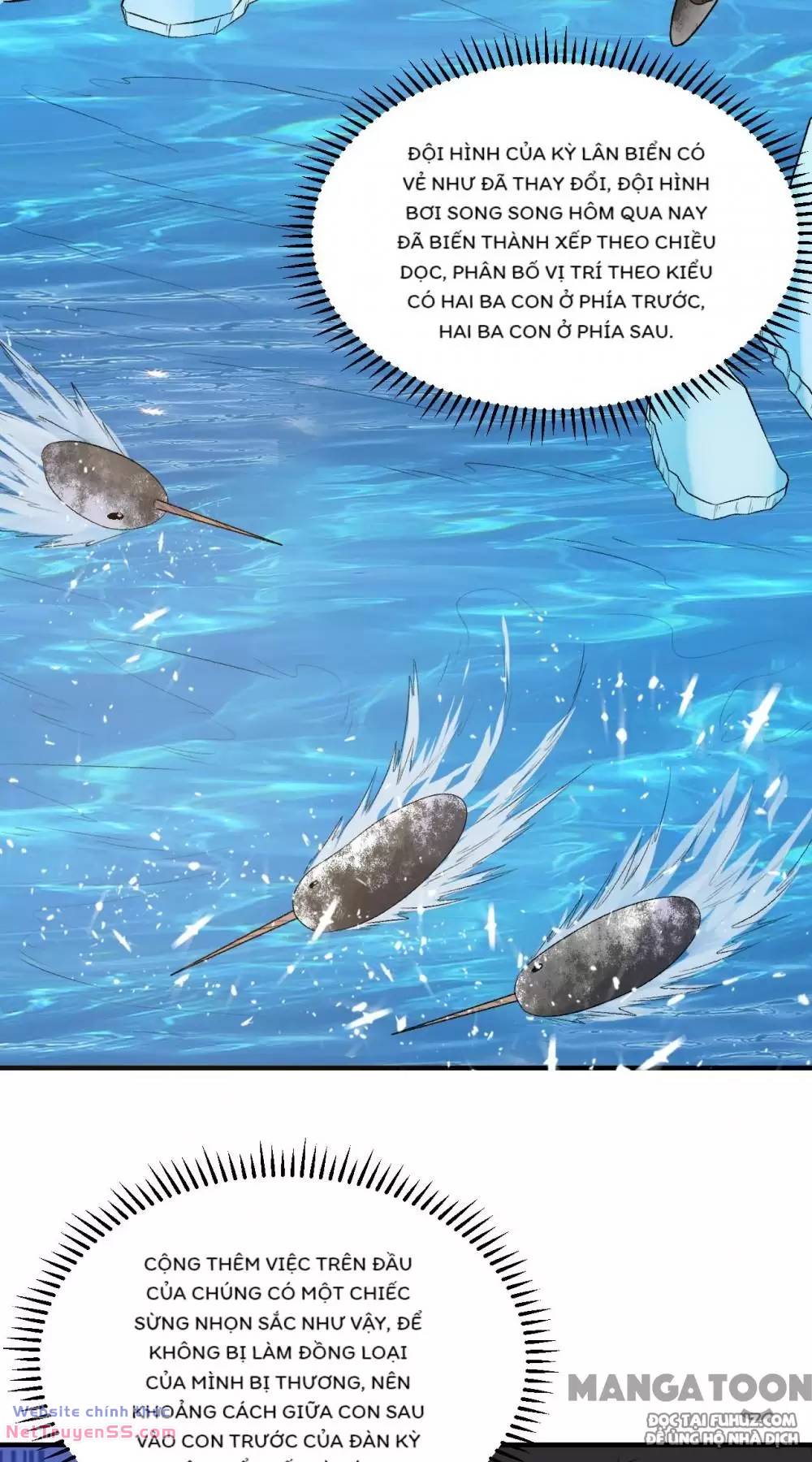 Tôi Sống Trên Hoang Đảo Cùng Các Em Gái chapter 249 15