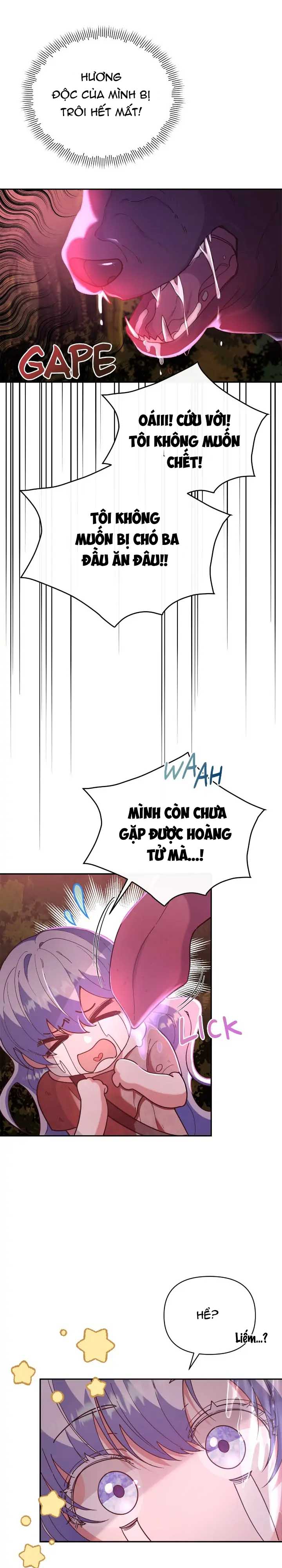 khi con gái mụ phù thủy hóa giải lời nguyền của nam chính chapter 2.2 8