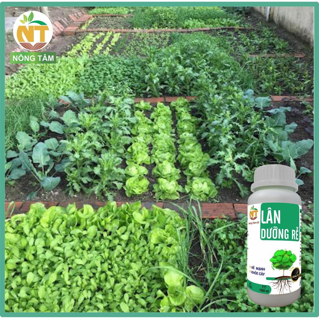 Phân bón siêu dưỡng rễ, kích rễ, chuyên dùng cho rau màu, cây ăn quả, chai 1000ml