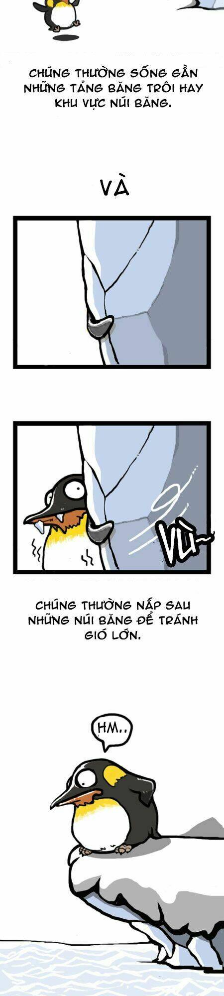 earth, human, and animal chapter 7 5