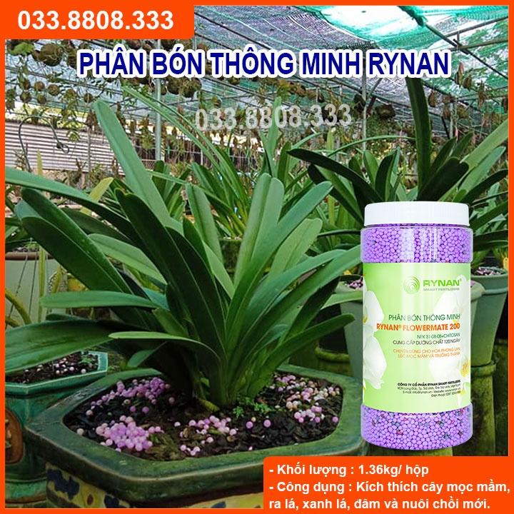 Phân Thông Minh 31-8-8  chuyên dùng kích thích cây nảy mầm, dâm chồi cho hoa lan cây cảnh