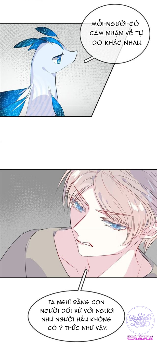 bộ váy của nàng tiên cá chapter 21 12