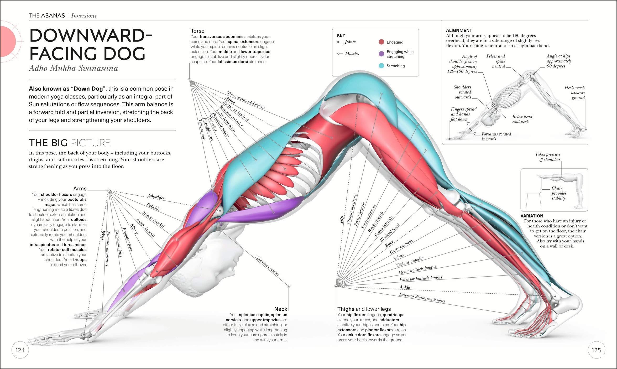 Science Of Yoga: Understand The Anatomy And Physiology To Perfect Your Practice