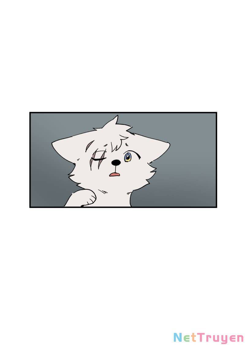 lumine - cội nguồn ánh sáng chapter 154 33