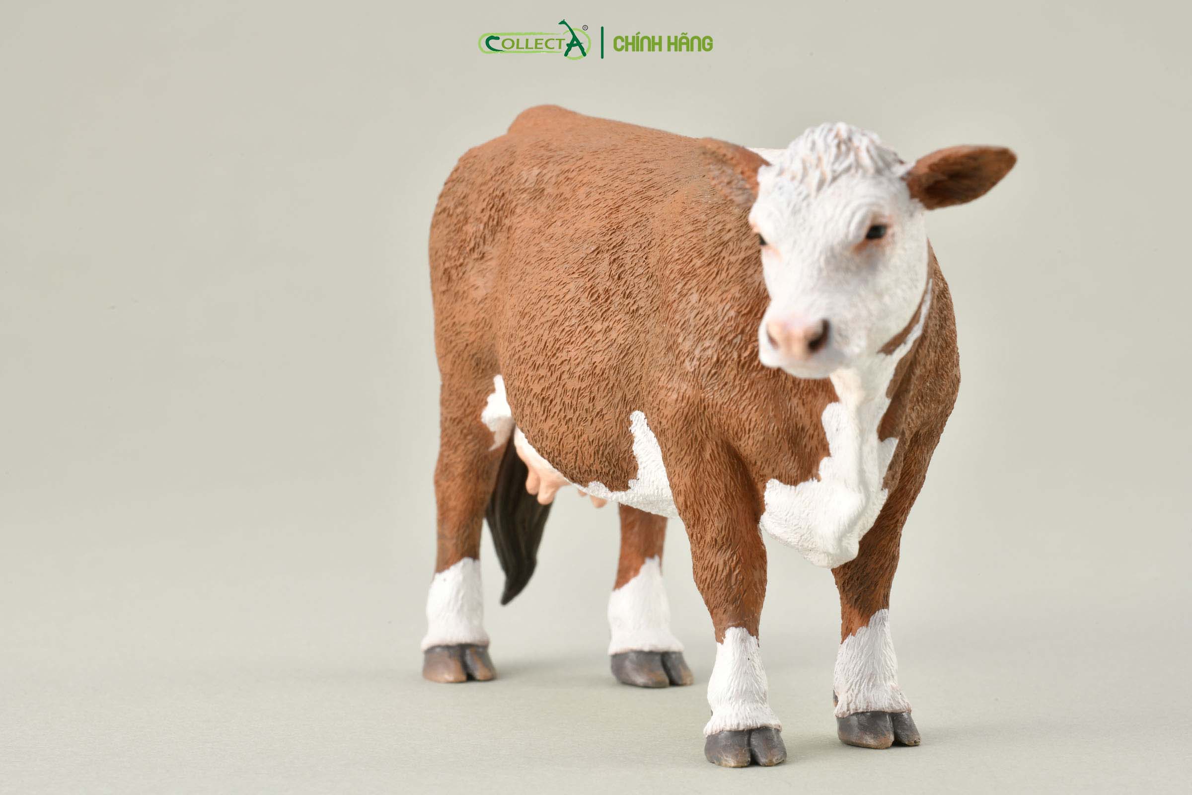 Mô hình thu nhỏ: Bò Hereford mẹ  - Hereford Cow  , hiệu: CollectA, mã HS 9650190[88860] -  Chất liệu an toàn cho trẻ - Hàng chính hãng