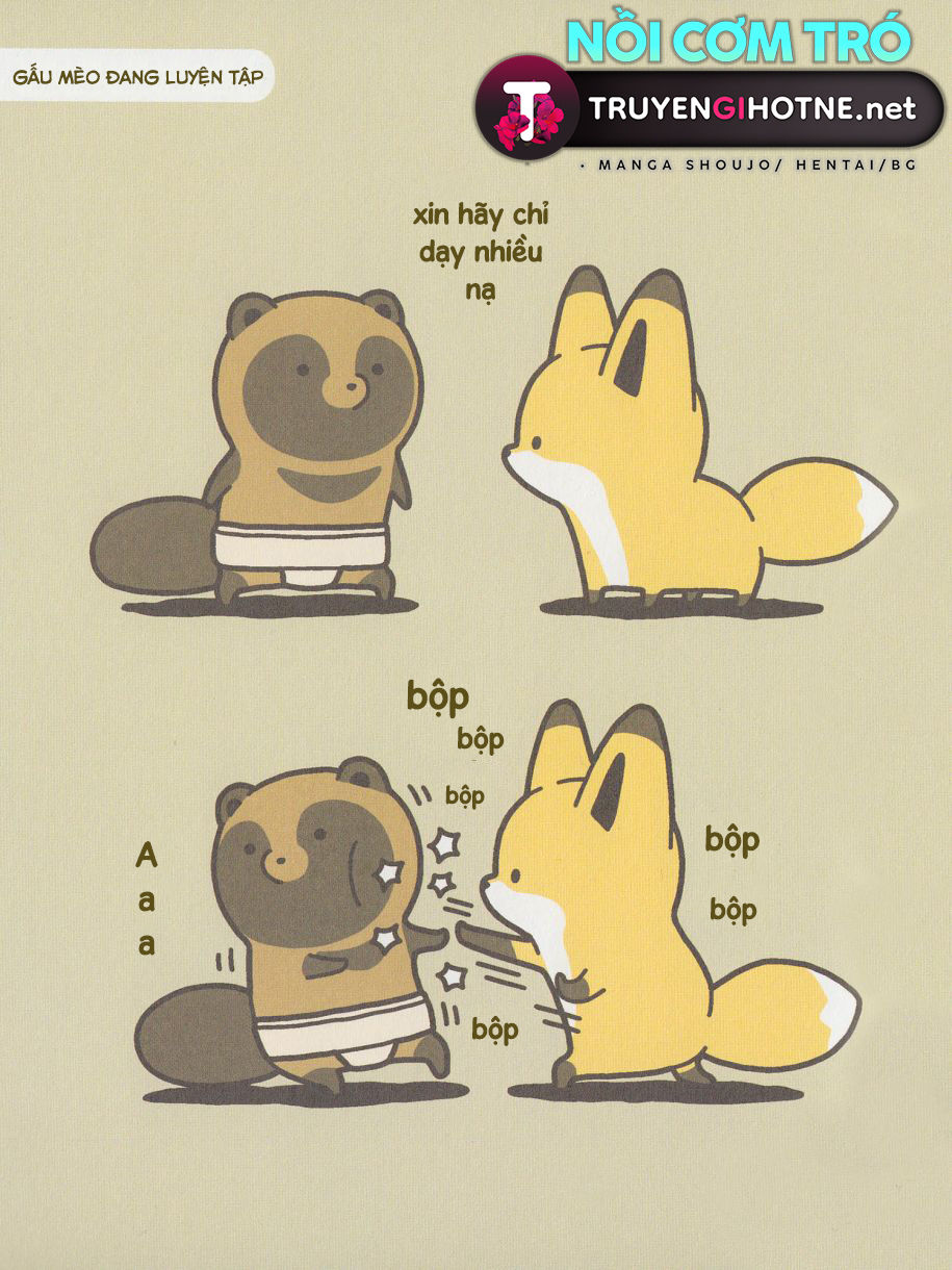 cáo và gấu mèo chapter 8 3