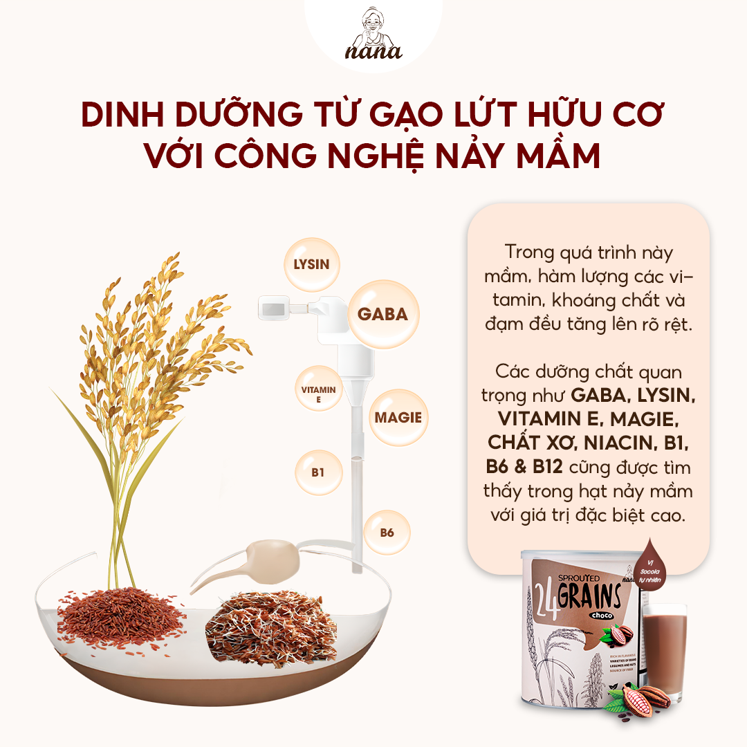 Combo 2 Hộp Sữa Hạt Gạo Lứt Hữu Cơ Millet &amp; 24Grains Hộp 700g Cho Trẻ Từ 3 Tuổi &amp; Người Lớn Bổ Sung Dinh Dưỡng Vegan - 24Grains