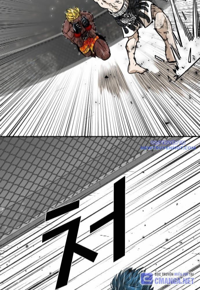 shark - cá mập chapter 262 26