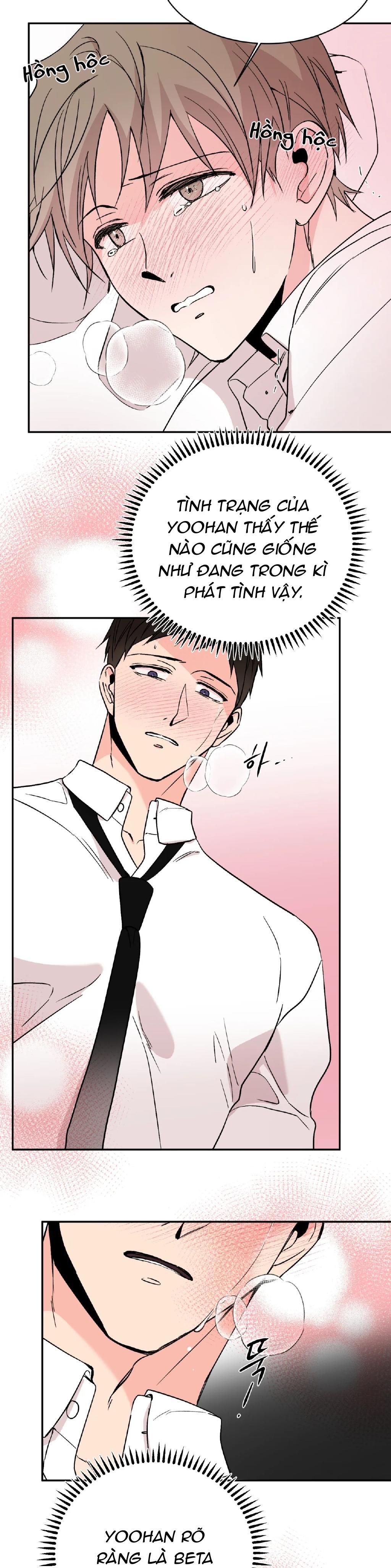 đảo ngược chapter 11 24