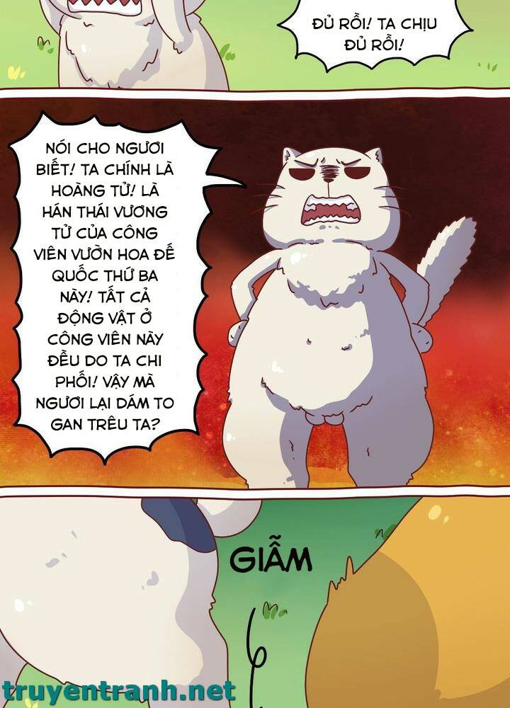 cây nấm kì khả chapter 7 13