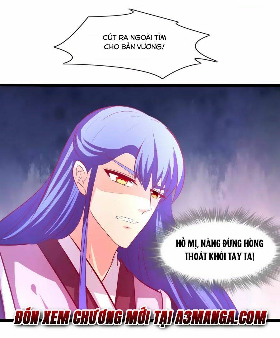 thỏ yêu tiểu vương phi chapter 55 35