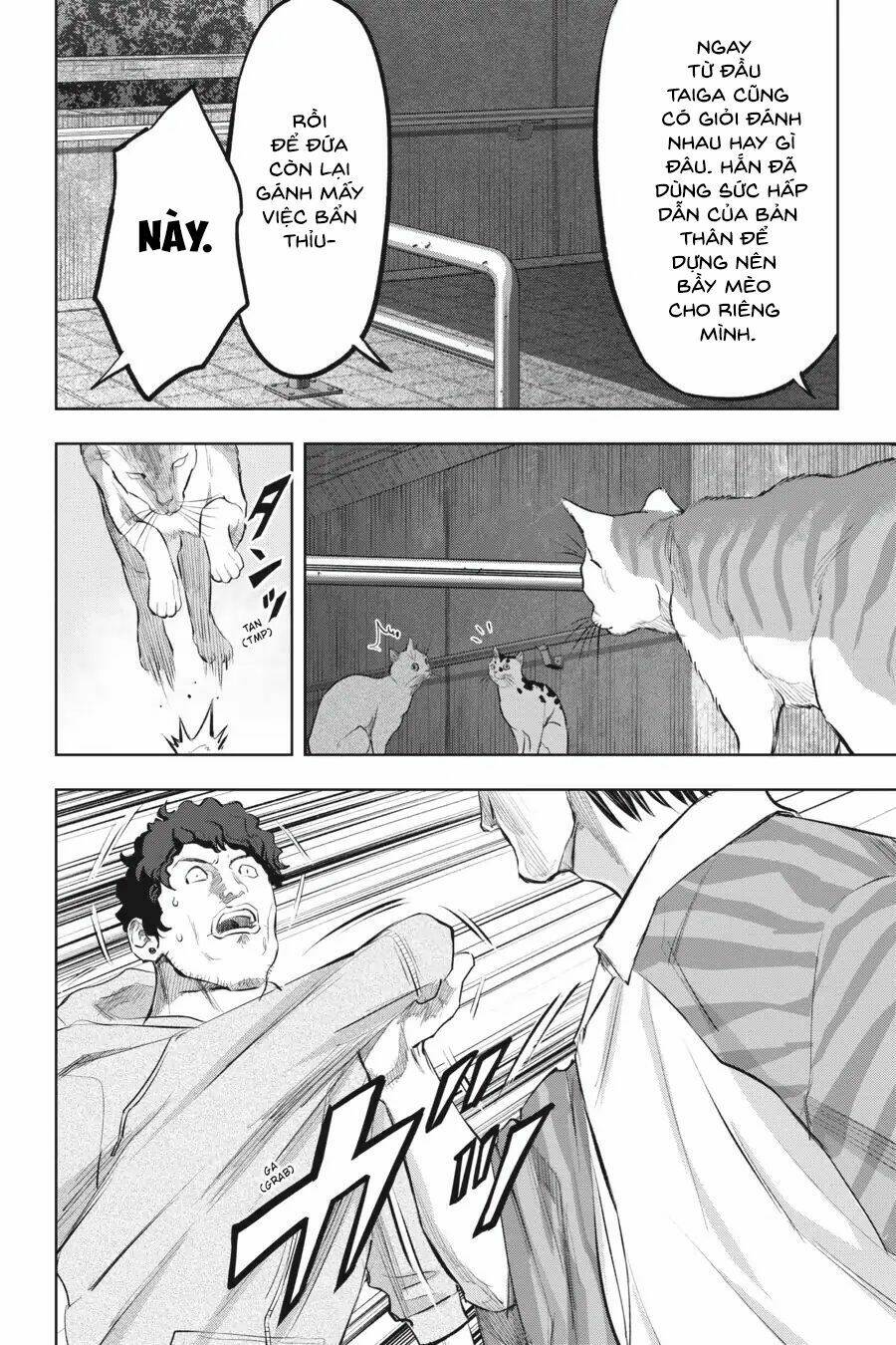 nyankees chapter 14 11