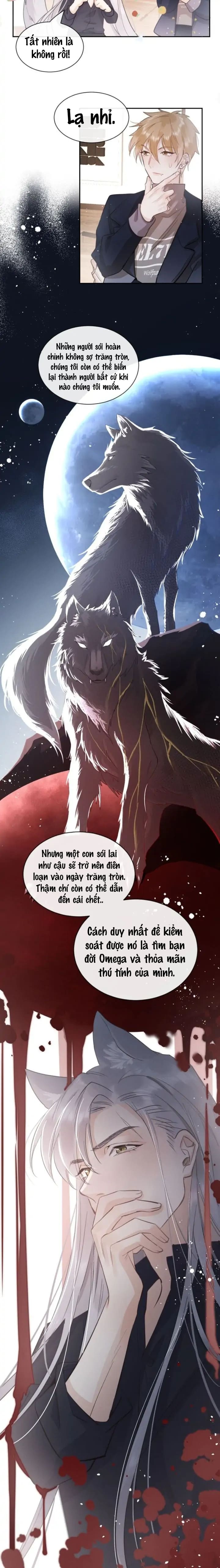 vết cắn của sói chapter 2 12