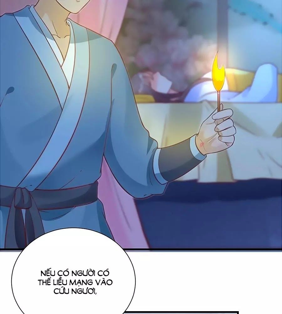 thịnh thế lê hoa điện chapter 61 67