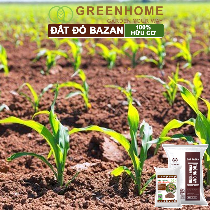 Đất Đỏ Bazan Greenhome, Bao 20 Lít (12kg), Đất Trồng Cây, Bổ Sung Phân Hữu Cơ, Vi Sinh Trồng Hoa Hồng, Kiểng Lá, Rau