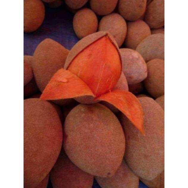 Sản phẩm HỒNG XIÊM RUỘT ĐỎ KHỔNG LỒ