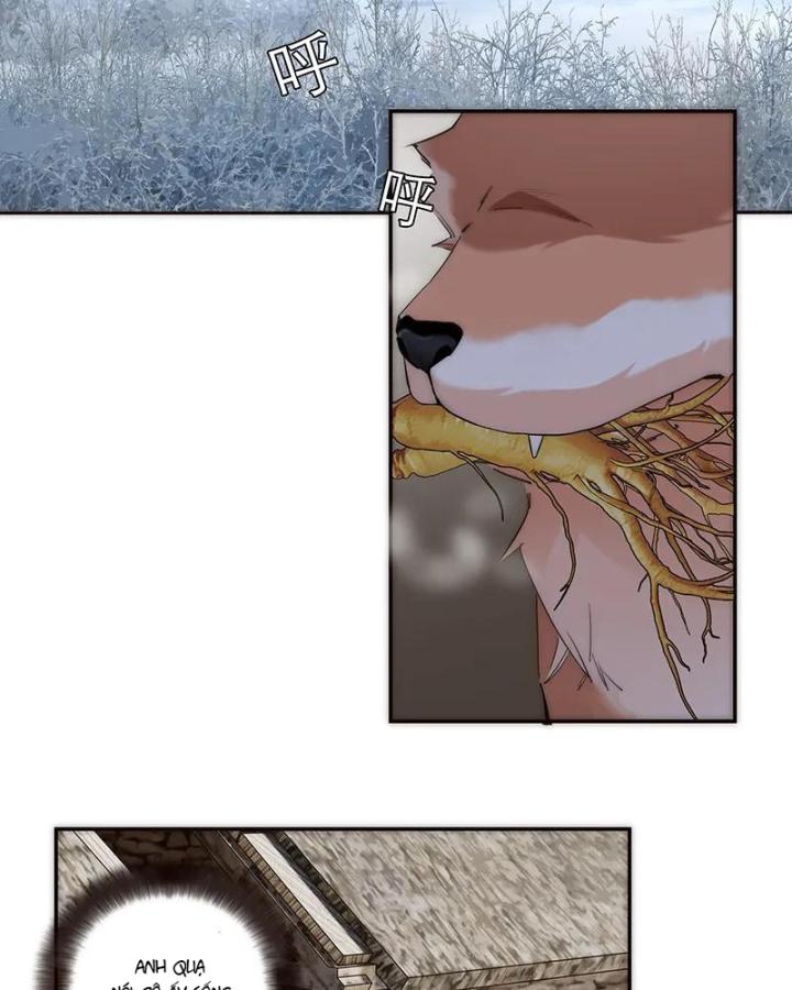 ân nhân của tôi không phải học giả chapter 1 35