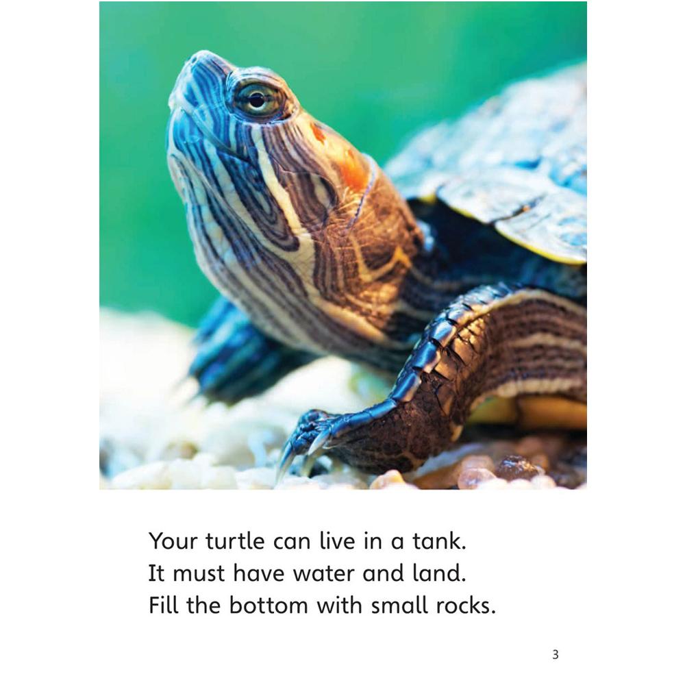 [Compass Reading Level 2-8] Caring for Your Turtle - Leveled Reader with Downloadable Audio Free - Sách chuẩn nhập khẩu từ NXB Compass