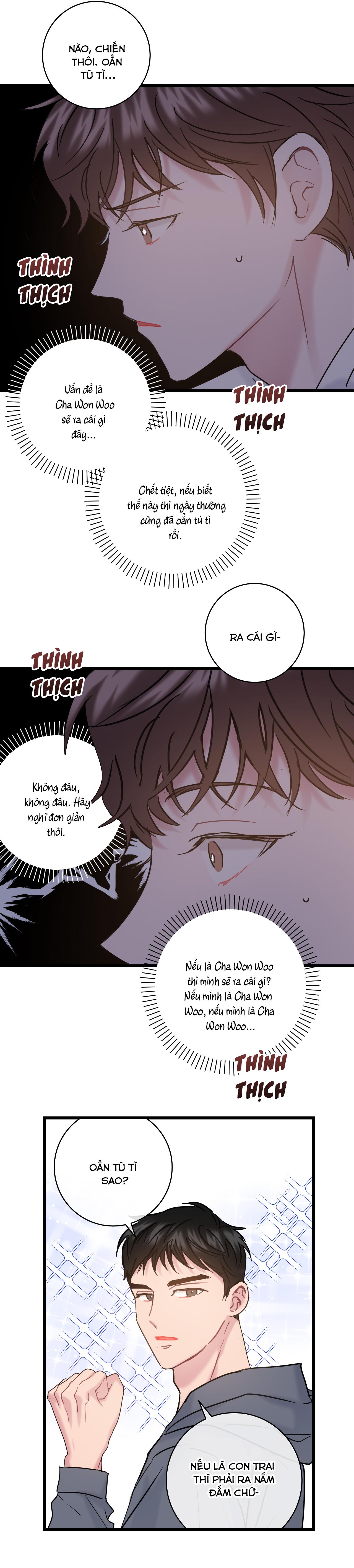 tình yêu bình dị nhất chapter 19 29