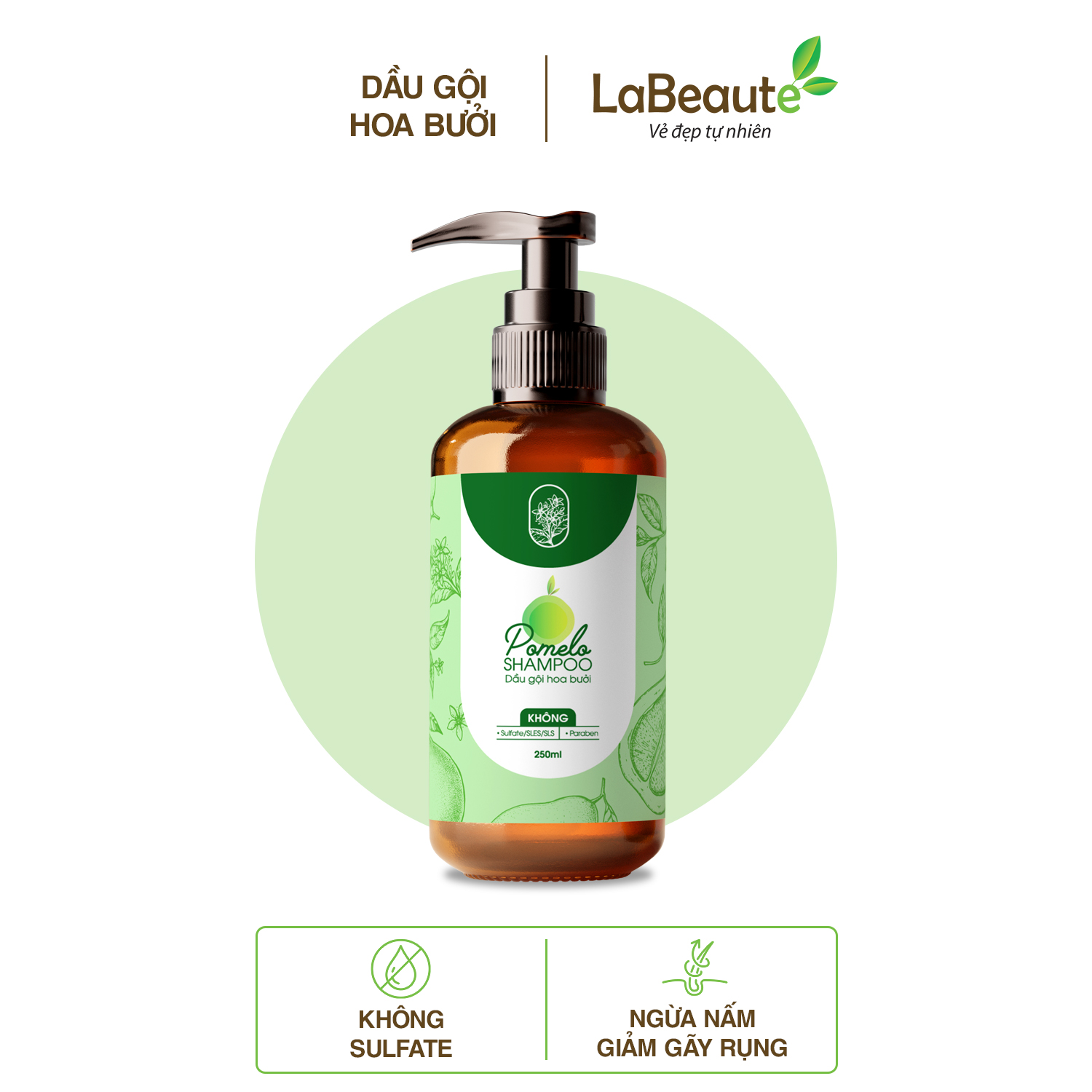 Dầu gội hoa bưởi Pomelo 250ml- giảm gãy rụng tóc, kích thích mọc tóc