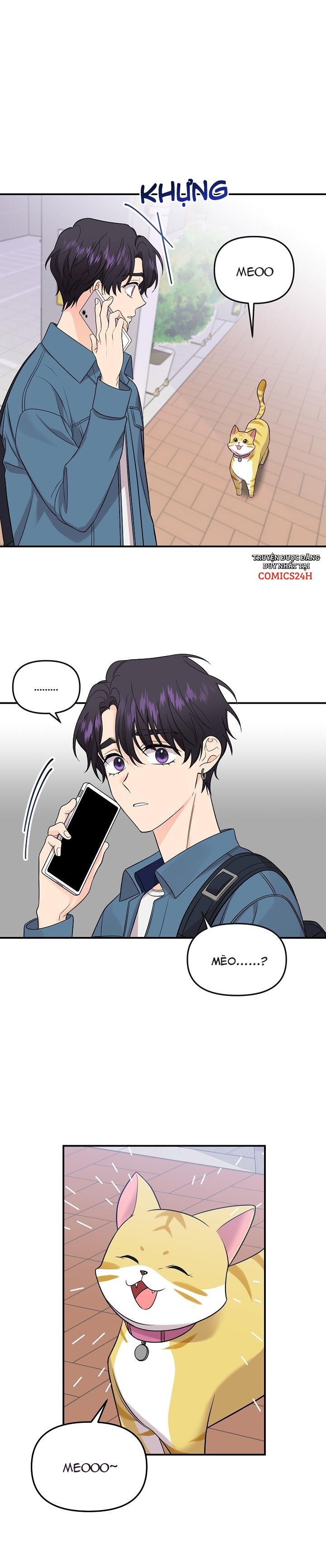 hoa ly hổ chapter 49 2