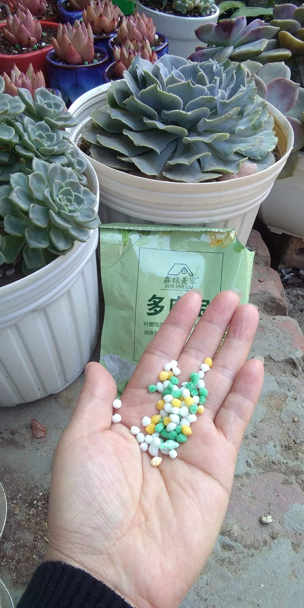 Phân bón cho sen đá xương rồng, cây kiểng túi 150g_hàng sẵn