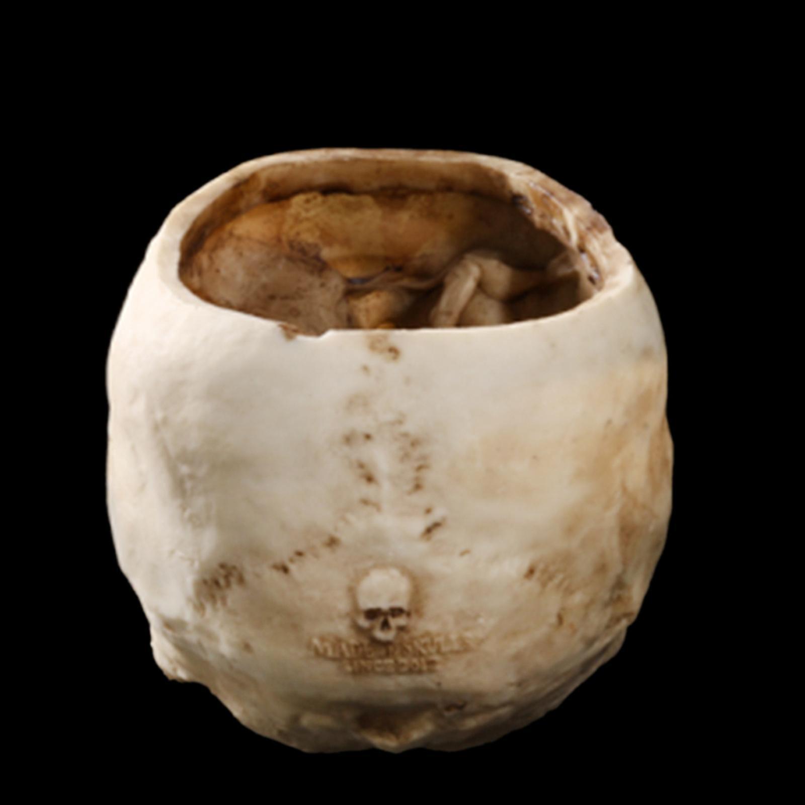 16.5cm Human  Flower Pot Planter Container Watering Device