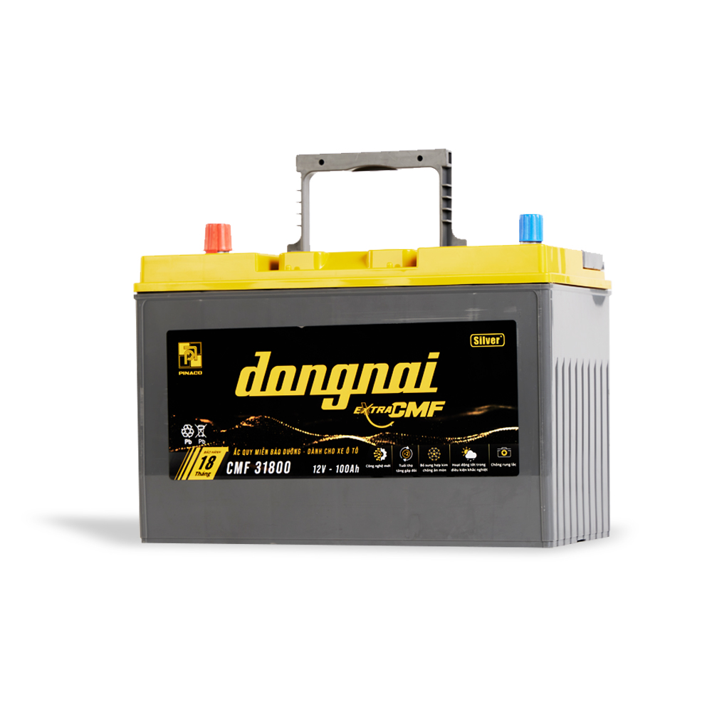 Ắc quy khô miễn bảo dưỡng Đồng Nai EXTRA CMF 31800 | 12V - 100Ah