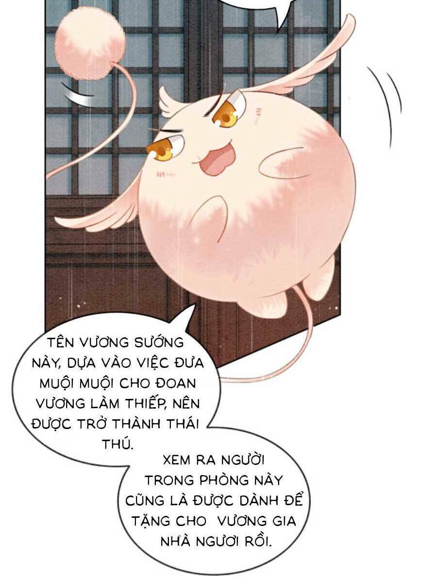 bắt đầu hủy hôn để công lược vương gia chapter 52 39