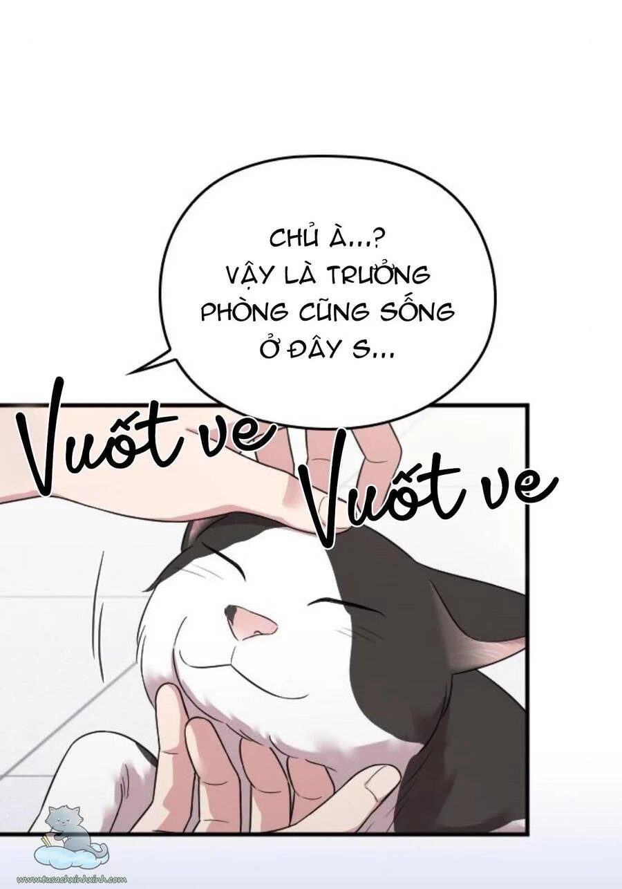 cô đi mà lấy chồng tôi chapter 25 84