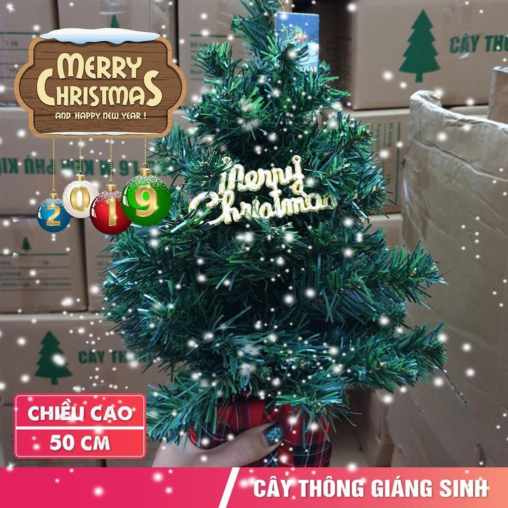 Cây thông Noel mini trang trí cao 50cm tặng phụ kiện Cây thông mini 50cm đầy đủ phụ kiện mẫu C12