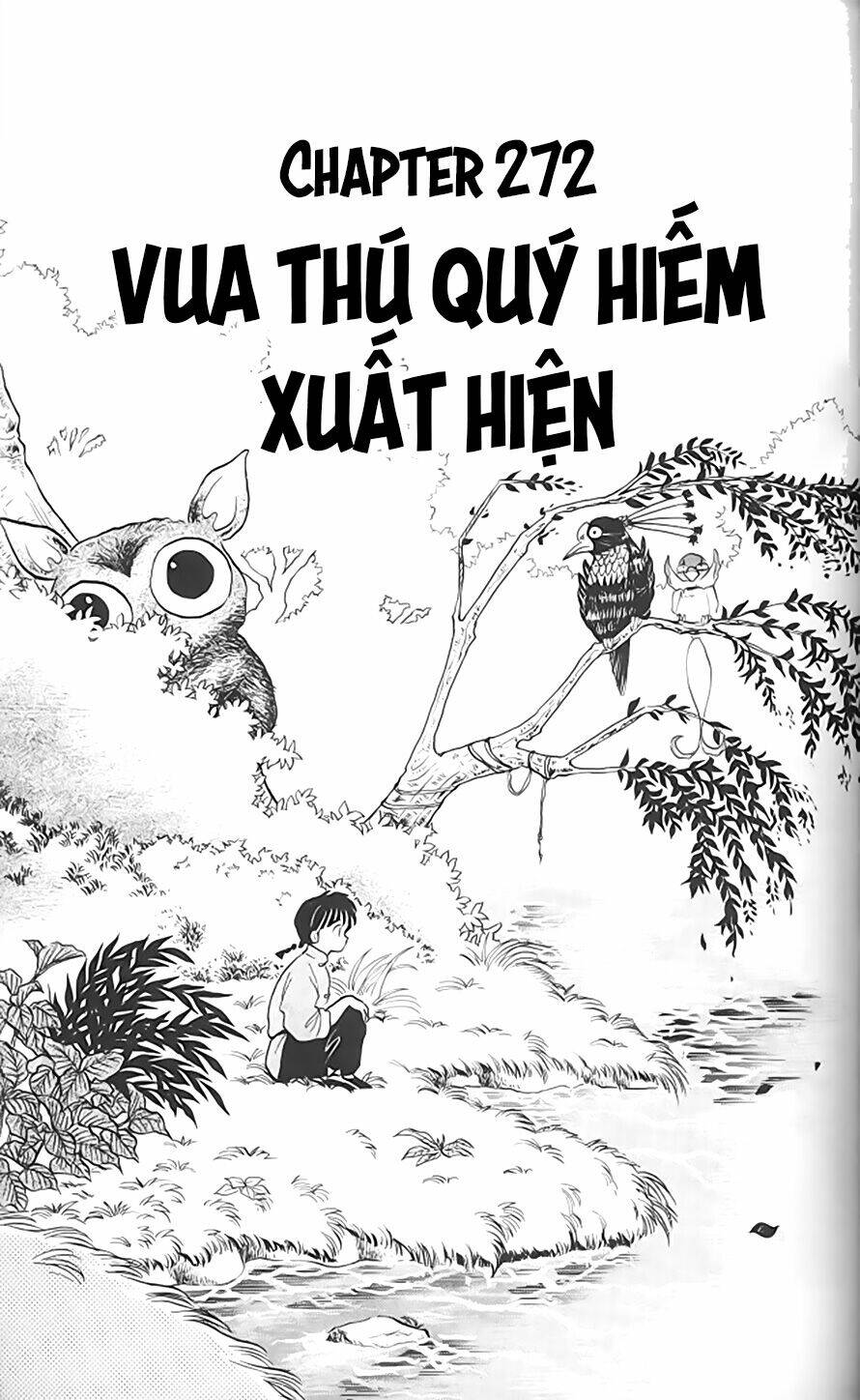 suối lời nguyền chapter 272 1