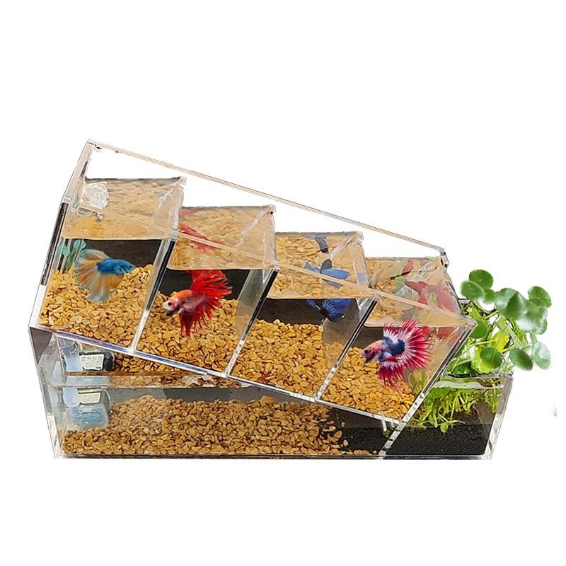 Bể Cá Xô Sáng Tạo Bể Cá Nhỏ Acrylic Để Bàn Đa Ngăn Cách Ly Tự Tuần Hoàn Lọc Không Thay Nước Bể Sinh Thái