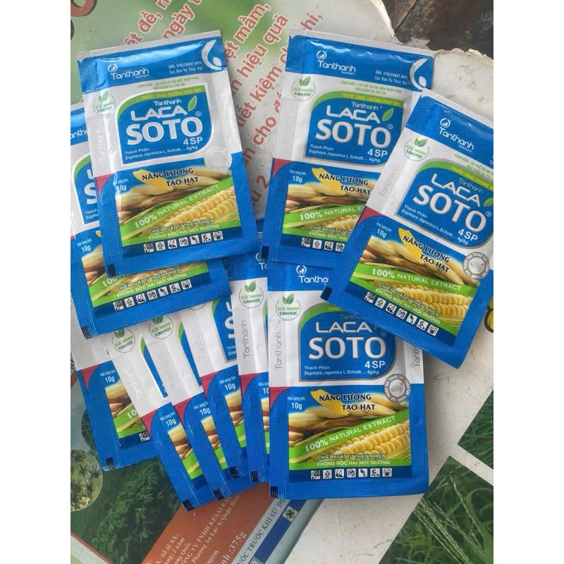 LACA SOTO 4SP của TÂN THÀNH Chắc cậy đầy bông, xanh lá đồng, tăng năng suất