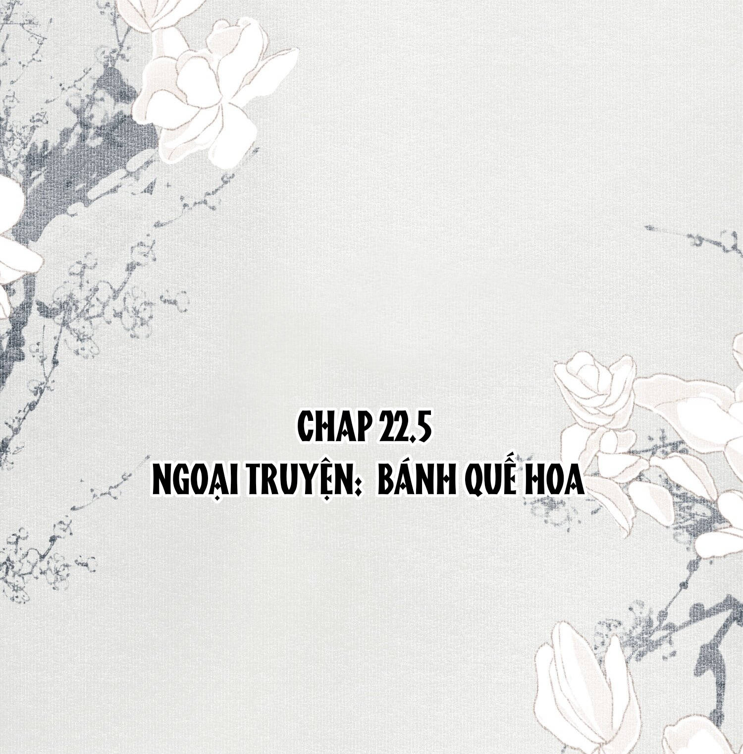 không cẩn thận cứu phải kẻ thù của giang hồ chapter 22.5 2