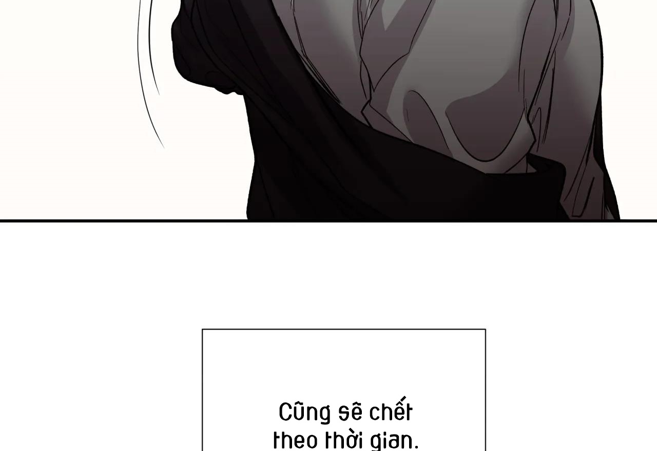 ám ảnh pheromone chapter 53 125