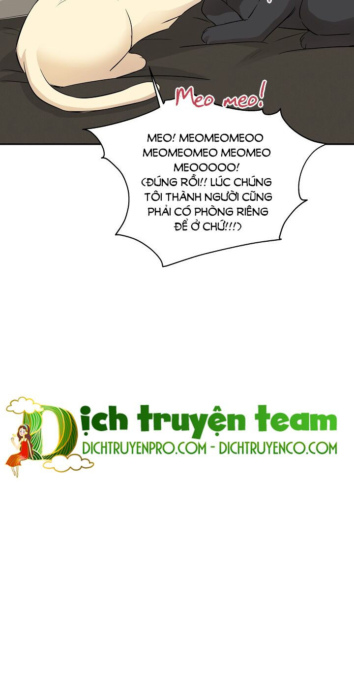 cuộc sống kỳ thú chapter 67 24