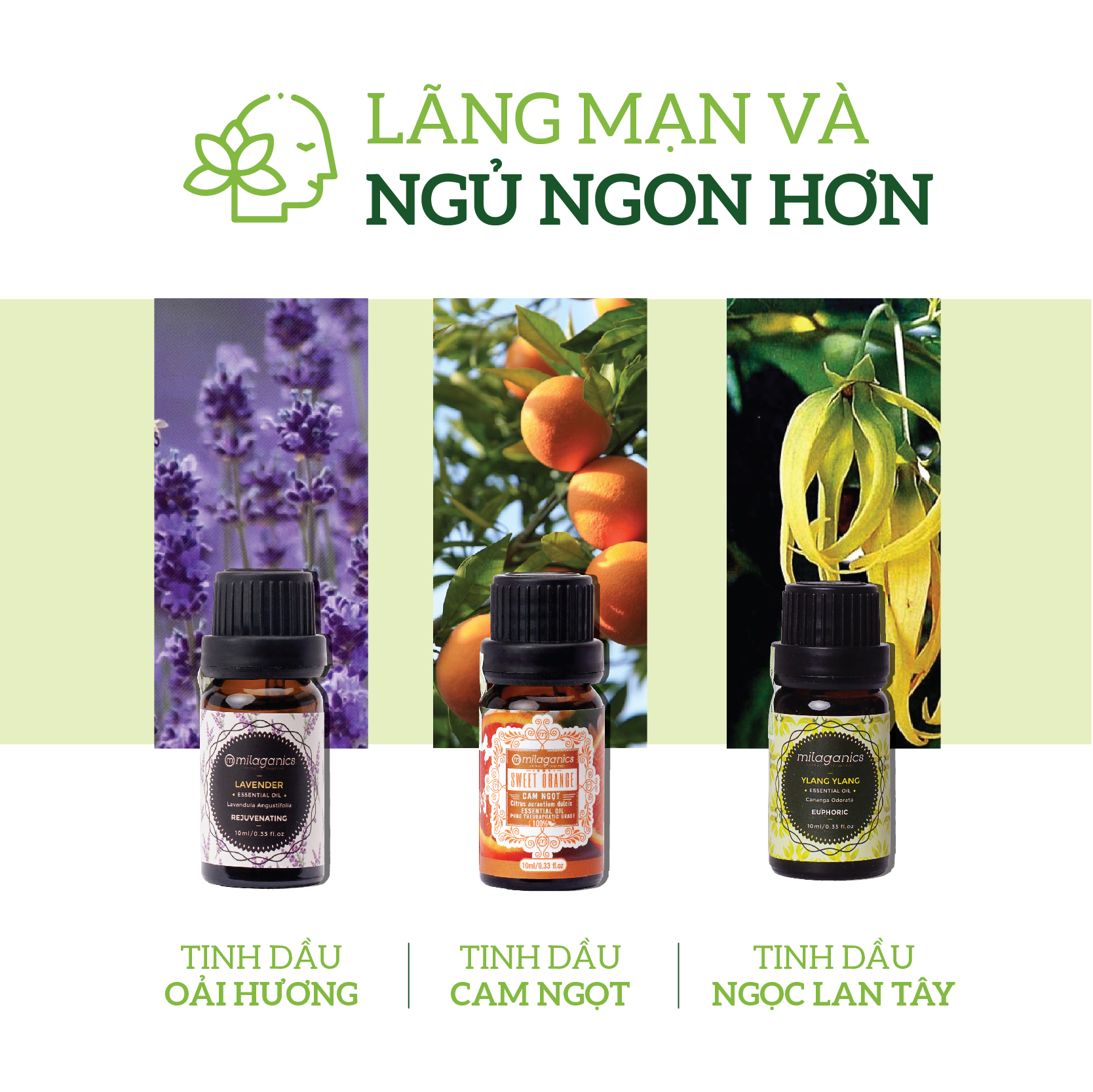 Tinh Dầu Vỏ Bưởi Nguyên Chất Kích Thích Mọc Tóc, Thư Giãn Tinh Thần, Giúp Đuổi Muỗi MILAGANICS 10-30ml