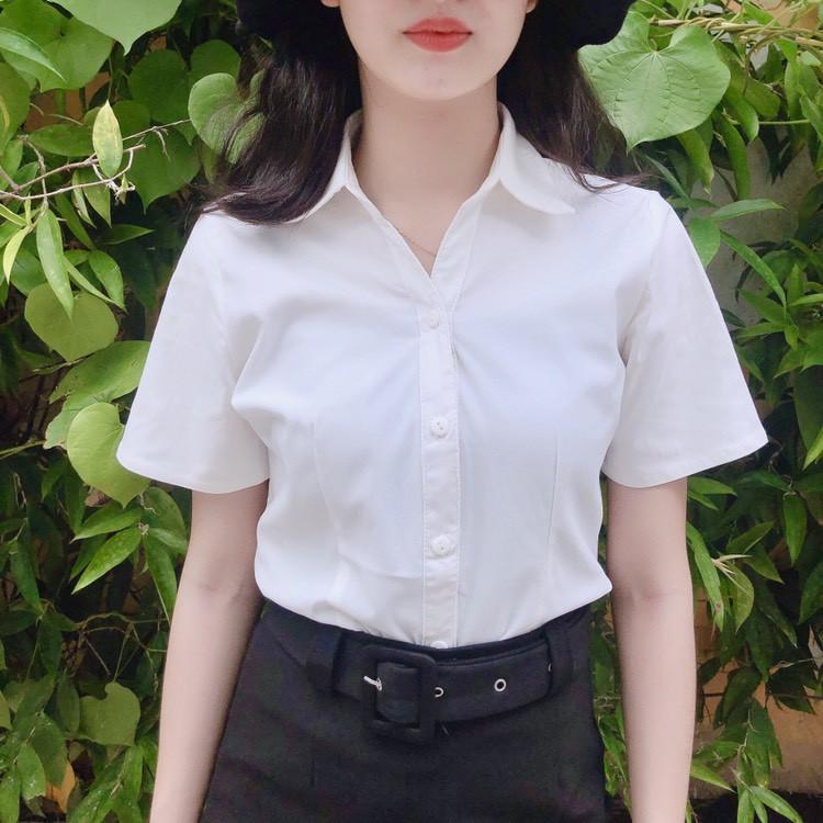 Áo sơ mi nữ form ôm tay ngắn vải kate màu trắng