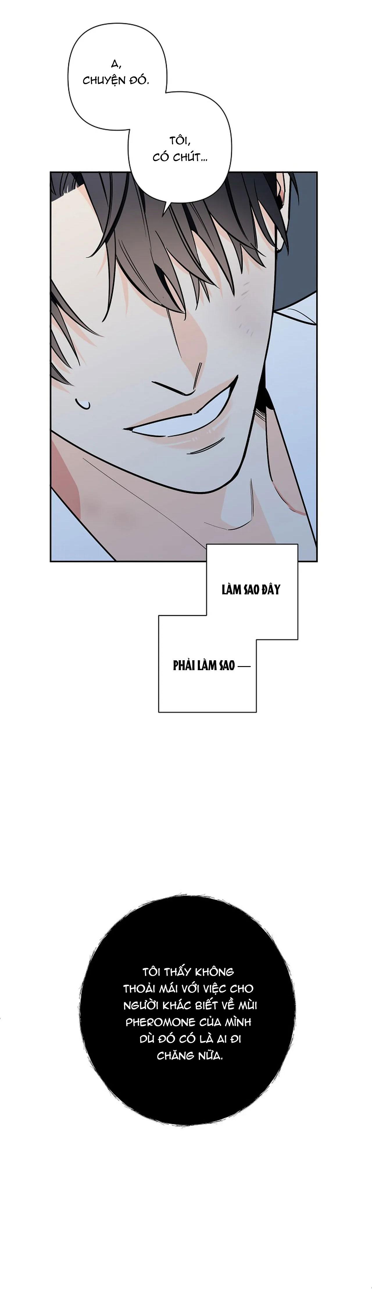 đêm dịu dàng chapter 21 27