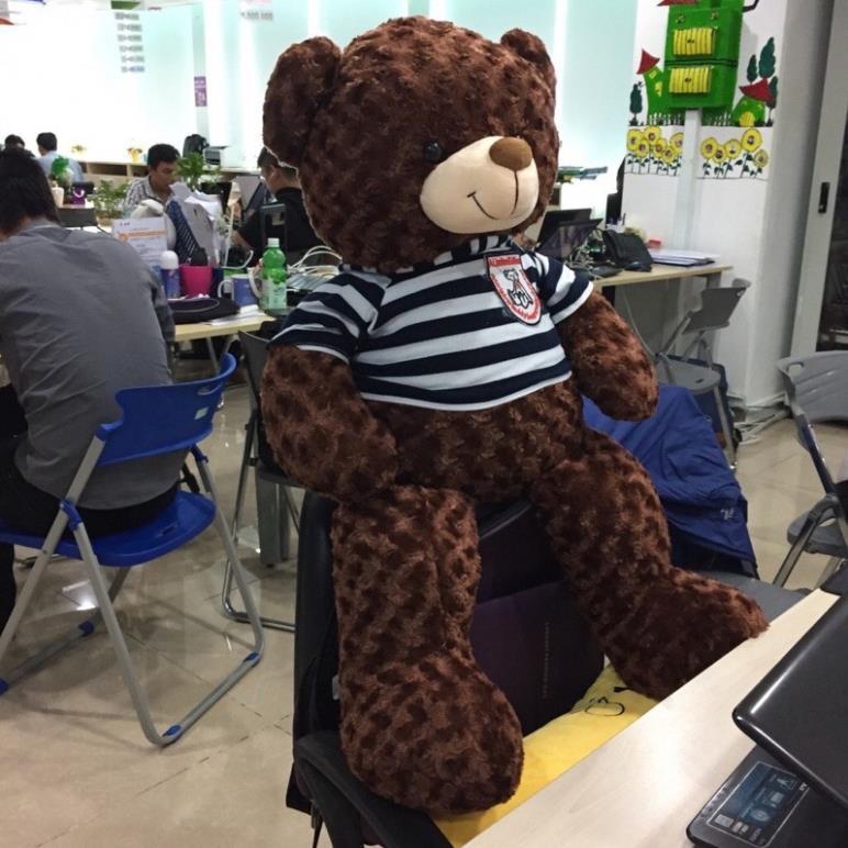 Gấu bông Teddy siêu to, gối ôm thú nhồi bông khổng lồ - Quà tặng ý nghĩa cho bé