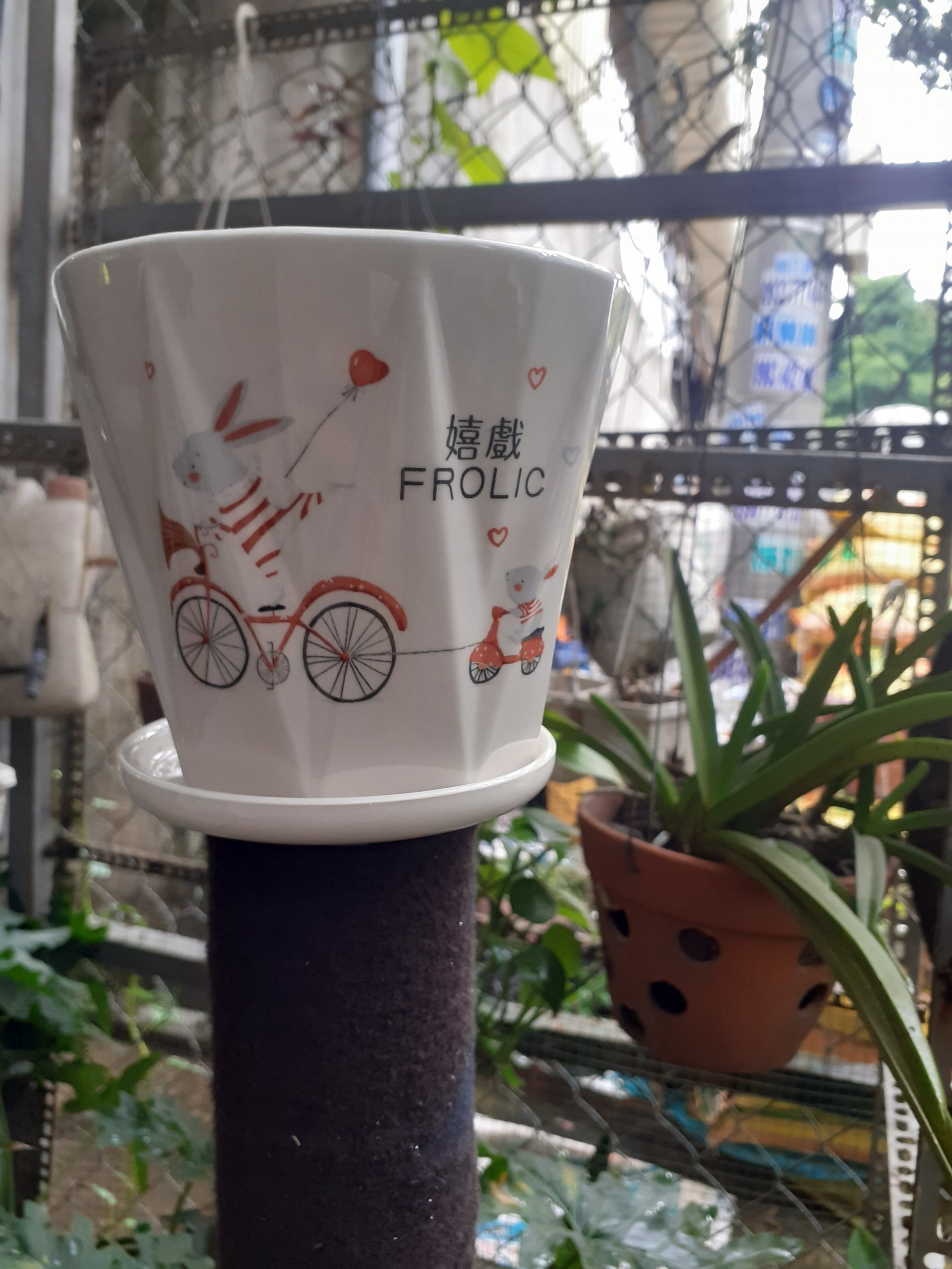 Chậu sứ tròn vân sao màu trắng Anh Em Gấu đi chơi công viên