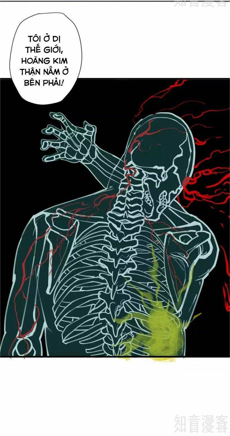 tối cường đại biểu hoàng kim thận chapter 113 12