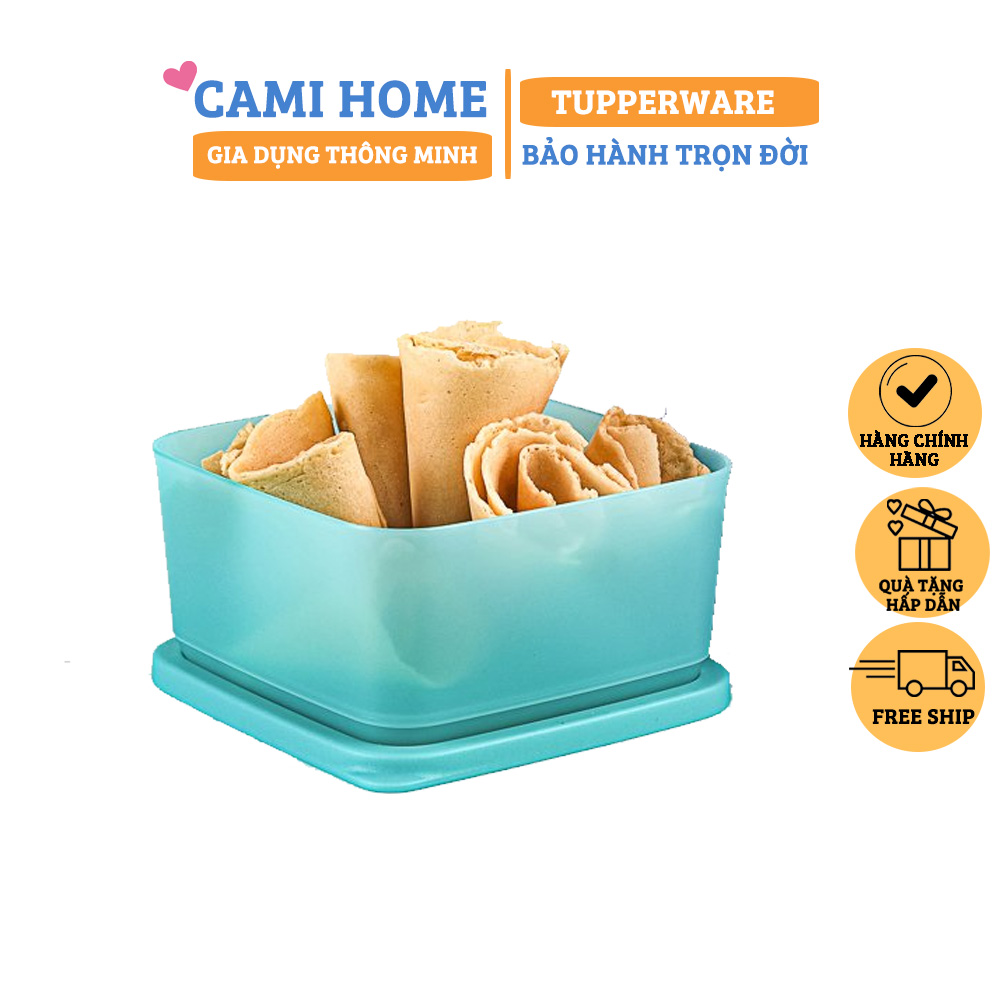 Hộp Bảo Quản Thực Phẩm Small Summer Fresh Tupperware, Hộp Trữ Khô, Nhựa Nguyên Sinh An Toàn