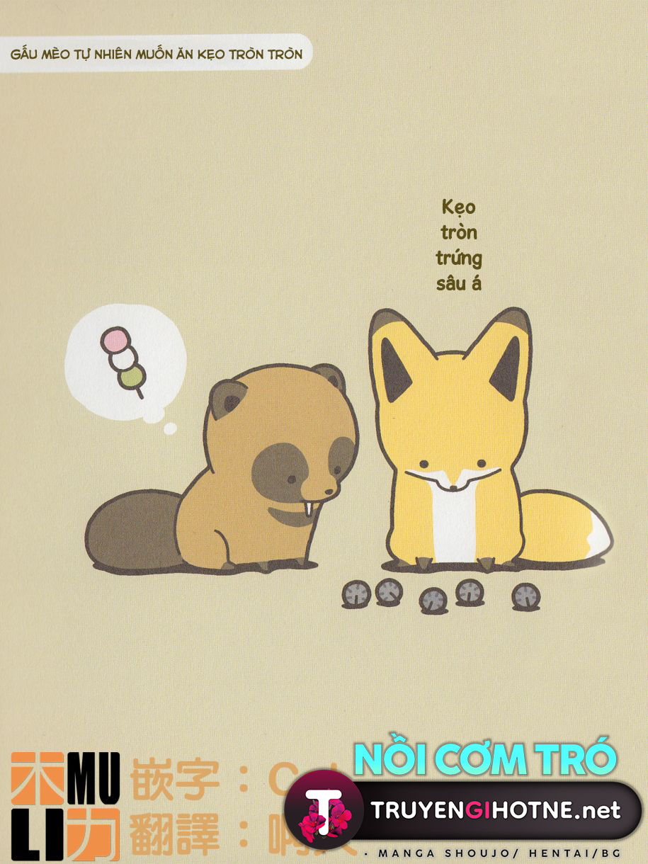 cáo và gấu mèo chapter 7 15