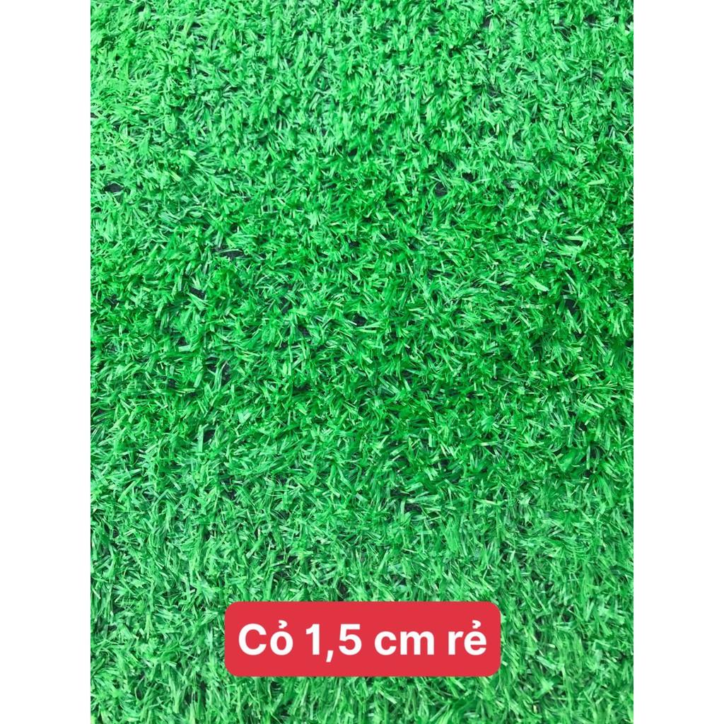 Thảm cỏ nhân tạo sân vườn 1,5cm xanh non loại thường combo 10m2 rộng 2m x5m =10m giá rẻ